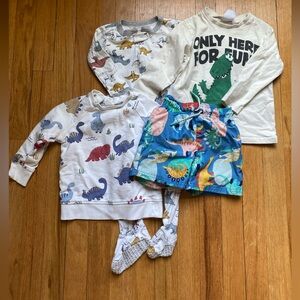 🦕 Toddler Boy, 18-24 months, dinosaur swim trunks, pajamas, shirt, pullover